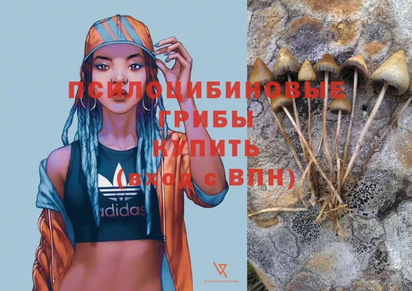 бошки Алексин