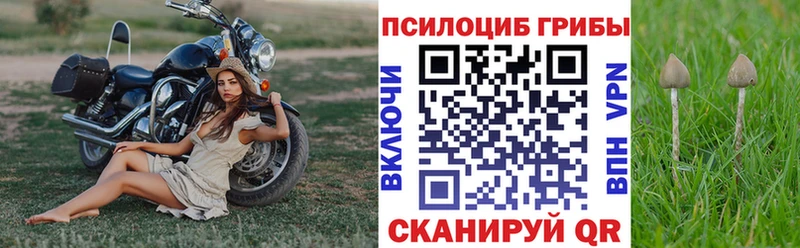 Галлюциногенные грибы Psilocybe  Добрянка 