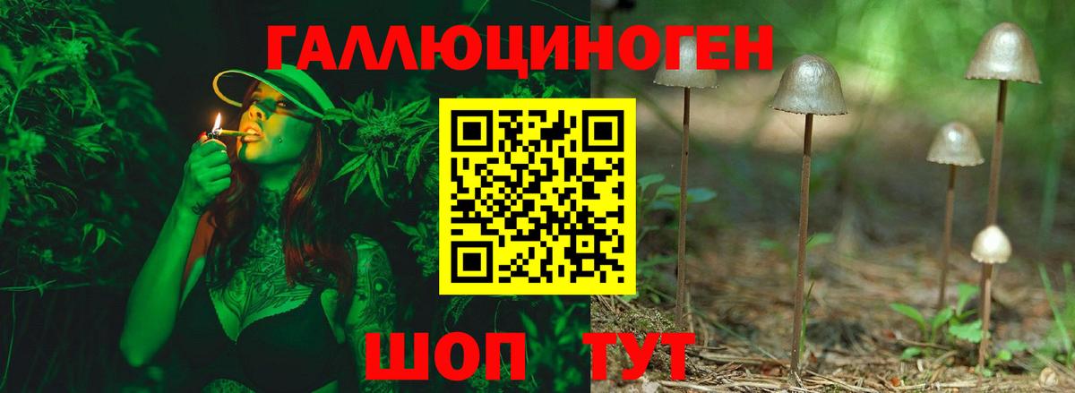 Добрянка  Псилоцибиновые грибы MAGIC MUSHROOMS  Вход с VPN 