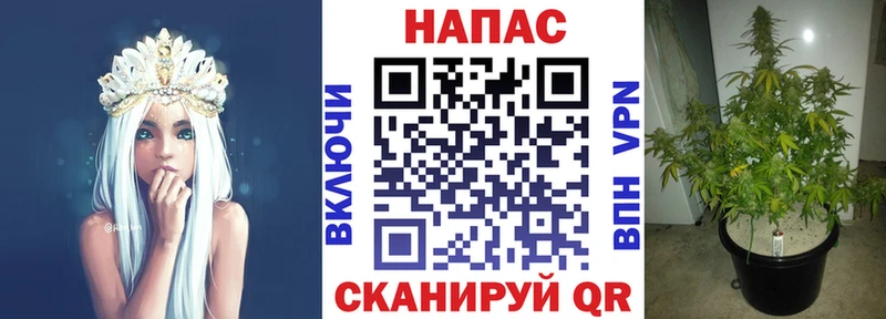 Бошки Шишки индика  Добрянка 